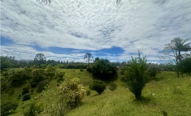 Venta de Finca en Rionegro Ojo de Agua