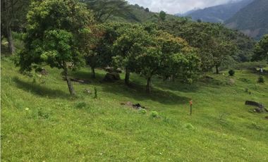Venta lotes Parcelación Suroeste Antioqueño