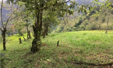 Venta lotes Parcelación Suroeste Antioqueño