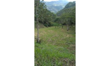 Se vende lote en la Siria Amaga, Antioquoa