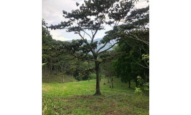 Se vende lote en la Siria Amaga, Antioquoa
