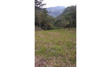 Se vende lote en la Siria Amaga, Antioquoa