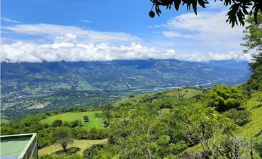 Venta finca Fredonia Hoyofrio Suroeste Antioqueño
