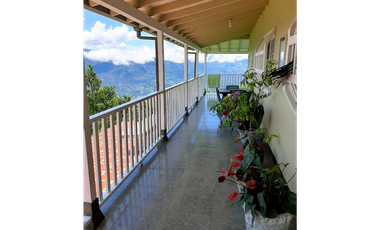 Venta finca Fredonia Hoyofrio Suroeste Antioqueño