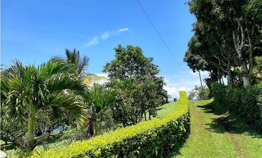 Venta finca Fredonia Hoyofrio Suroeste Antioqueño