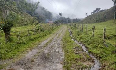 VENDO FINCA GANADERA EN RISARALDA
