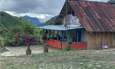 VENDO FINCA GANADERA EN RISARALDA