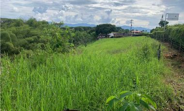 VENDO FINCA GANADERA EN RISARALDA