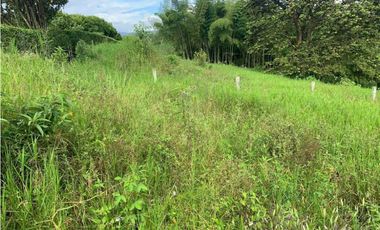 VENDO FINCA GANADERA EN RISARALDA