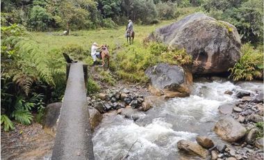 VENDO FINCA GANADERA EN RISARALDA
