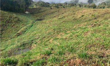 VENDO FINCA GANADERA EN RISARALDA