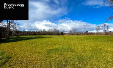 Parcelas en los Muermos con Acceso a Rio LLico - X Region