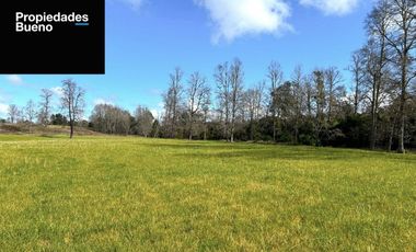 Parcelas en los Muermos con Acceso a Rio LLico - X Region