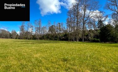 Parcelas en los Muermos con Acceso a Rio LLico - X Region