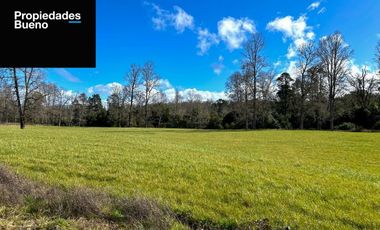 Parcelas en los Muermos con Acceso a Rio LLico - X Region