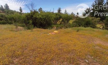 Agrícola en Venta en ARBOLILLO, SAN JAVIER