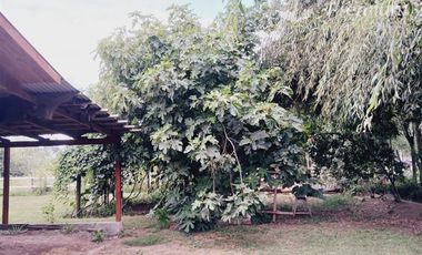 Casa en Venta en Villa Longavi pc 233 Lote 9