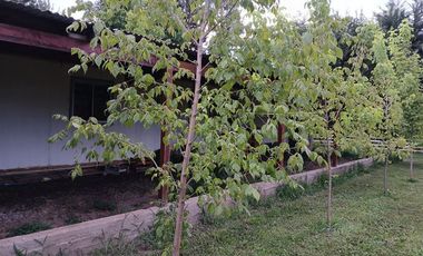 Casa en Venta en Villa Longavi pc 233 Lote 9