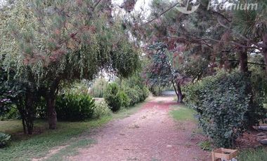 Parcela en Venta en Villa Longavi pc 233 Lote 9