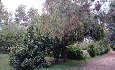 Parcela en Venta en Villa Longavi pc 233 Lote 9