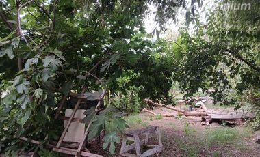 Parcela en Venta en Villa Longavi pc 233 Lote 9