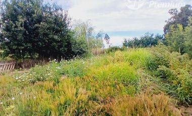 Parcela en Venta en Villa Longavi pc 233 Lote 9