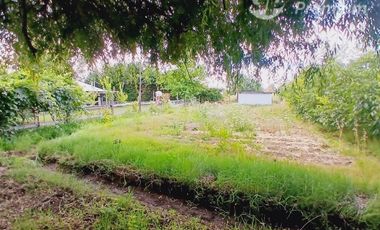 Parcela en Venta en Villa Longavi pc 233 Lote 9