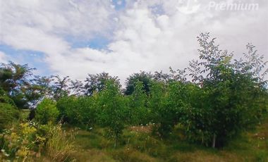 Parcela en Venta en Villa Longavi pc 233 Lote 9