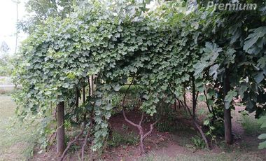 Parcela en Venta en Villa Longavi pc 233 Lote 9