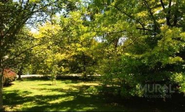 Casa en Arriendo en Carampangue - colegio Trebulco - Autopista del Sol