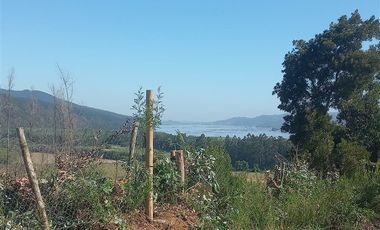 Terreno Construccion  en Venta en Condominio El Llano