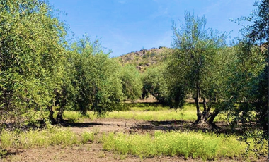 Parcela en Venta en TILTIL