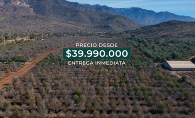 Parcela en Venta en TILTIL