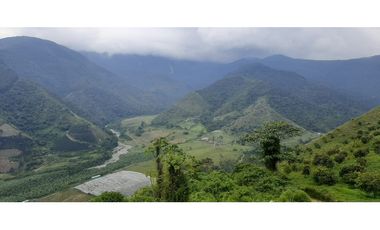 Venta finca  de produccion en Salgar Suroeste Antioqueño