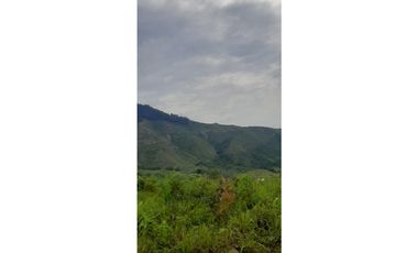 Venta finca  de produccion en Salgar Suroeste Antioqueño