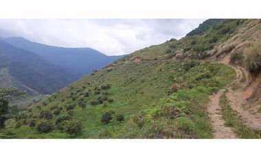 Venta finca  de produccion en Salgar Suroeste Antioqueño