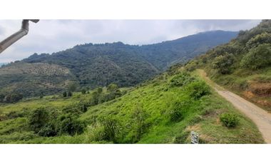 Venta finca  de produccion en Salgar Suroeste Antioqueño