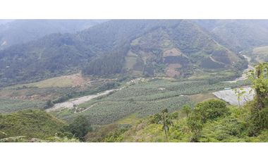 Venta finca  de produccion en Salgar Suroeste Antioqueño
