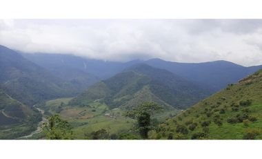 Venta finca  de produccion en Salgar Suroeste Antioqueño
