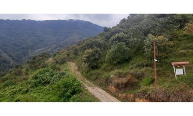 Venta finca  de produccion en Salgar Suroeste Antioqueño