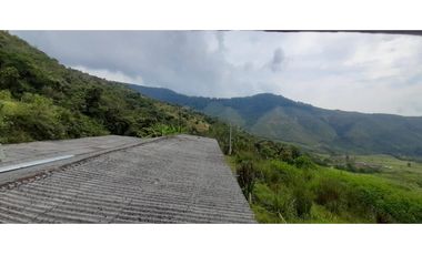 Venta finca  de produccion en Salgar Suroeste Antioqueño