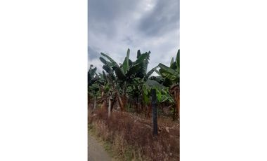 Venta finca  de produccion en Salgar Suroeste Antioqueño