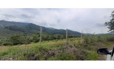 Venta finca  de produccion en Salgar Suroeste Antioqueño