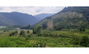 Venta finca  de produccion en Salgar Suroeste Antioqueño