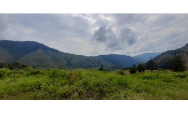 Venta finca  de produccion en Salgar Suroeste Antioqueño