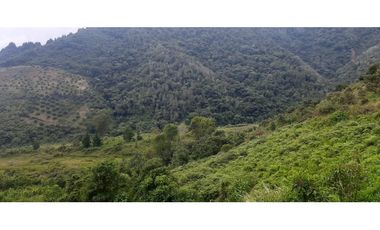 Venta finca  de produccion en Salgar Suroeste Antioqueño