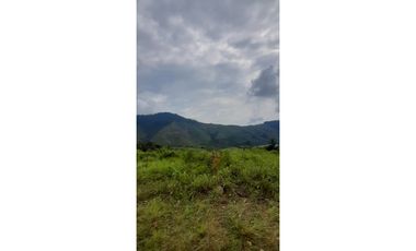Venta finca  de produccion en Salgar Suroeste Antioqueño