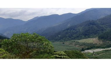 Venta finca  de produccion en Salgar Suroeste Antioqueño