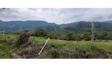 Venta finca  de produccion en Salgar Suroeste Antioqueño