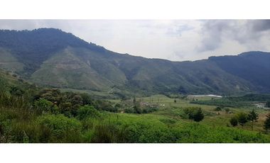 Venta finca  de produccion en Salgar Suroeste Antioqueño